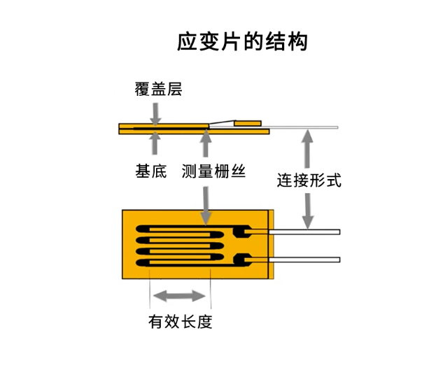 应变片结构.png